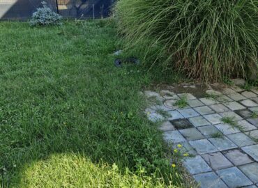 PHOTO-2025-07-31-09-15-59 3