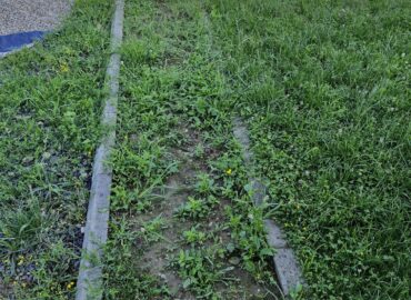 PHOTO-2025-07-31-09-15-59