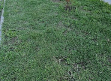 PHOTO-2025-07-31-09-15-59 4