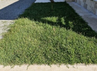 PHOTO-2025-07-31-09-15-59 5