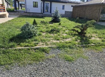 PHOTO-2025-07-31-09-15-59 7