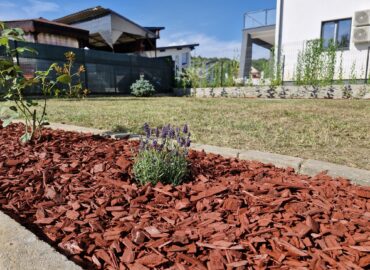 PHOTO-2025-07-31-09-16-00 2