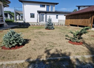 PHOTO-2025-07-31-09-16-00 3