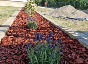 PHOTO-2025-07-31-09-16-00