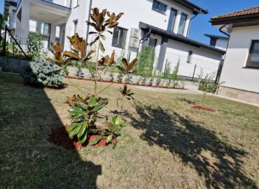 PHOTO-2025-07-31-09-16-00 7