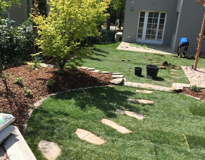 WhatsApp Image 2025-06-17 at 11.38.03 (2)