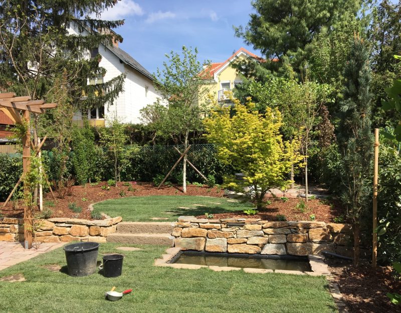 WhatsApp Image 2025-06-17 at 11.38.03