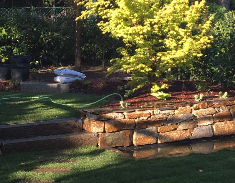 WhatsApp Image 2025-06-17 at 11.38.04 (1)