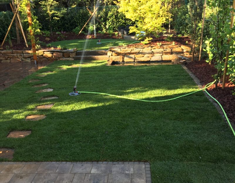 WhatsApp Image 2025-06-17 at 11.38.04